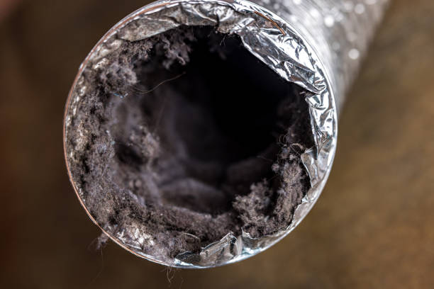 Best Air Duct Cleaning Near Me  in Salineville, OH