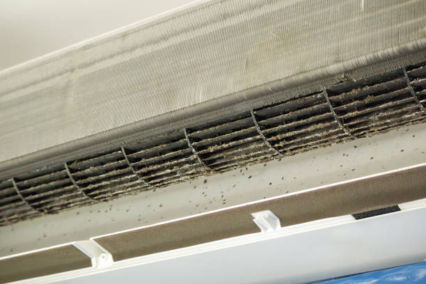 Best Ventilation Cleaning Services  in Salineville, OH