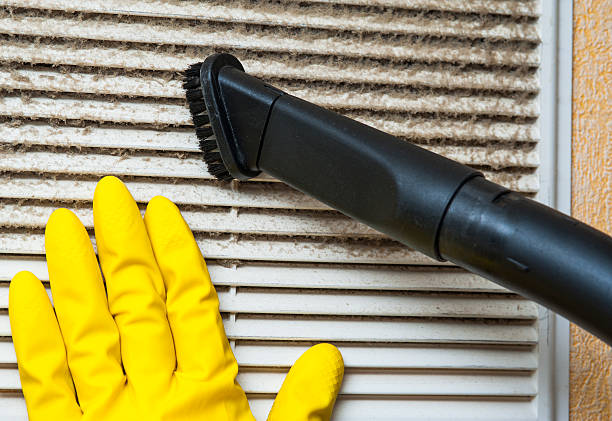 Best Local Air Duct Cleaning Services  in Salineville, OH